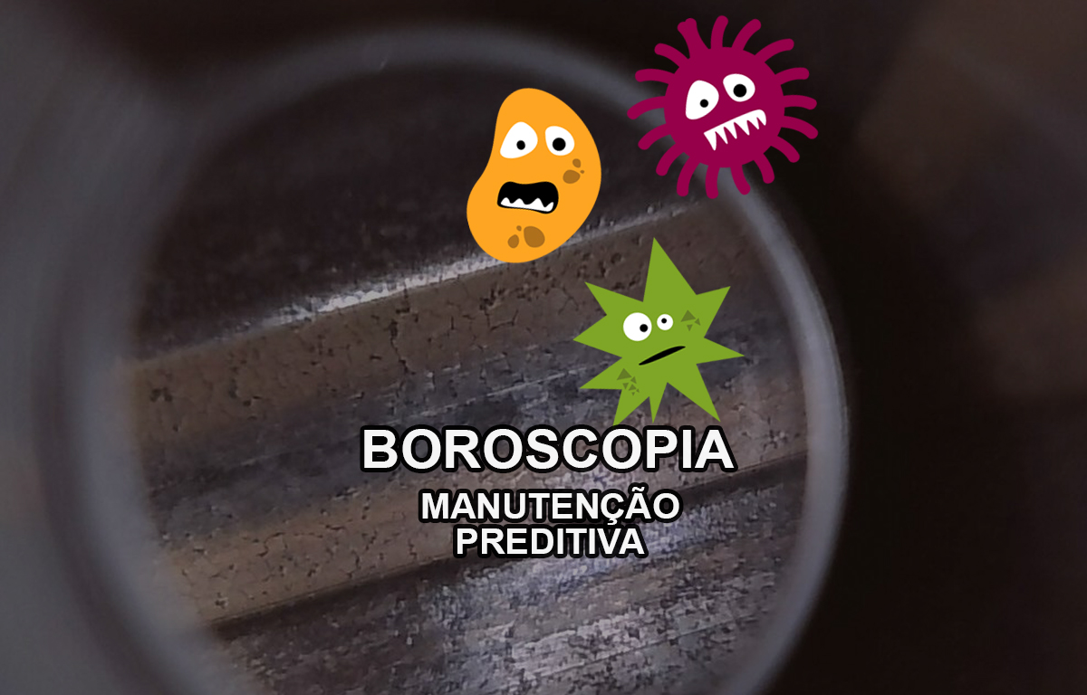 Boroscopia e segurança dos alimentos